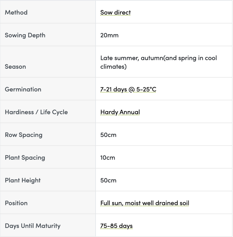 Massey Gem Shelling Pea Seeds