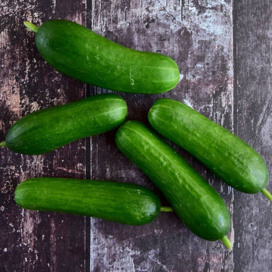 Lebanese Cucumber Seeds